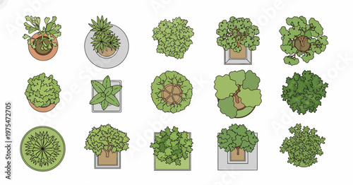 Diverse graphic collection of stylized green potted plants and trees, overhead views, ideal for architectural landscape design and urban planning concepts