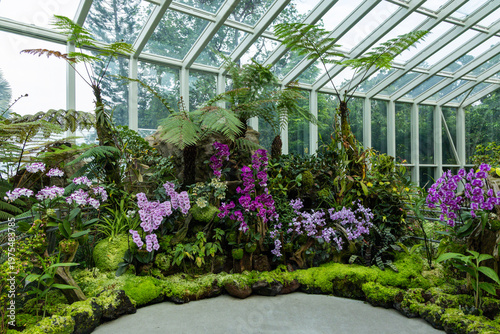 Views of the Singapore botanic gardens