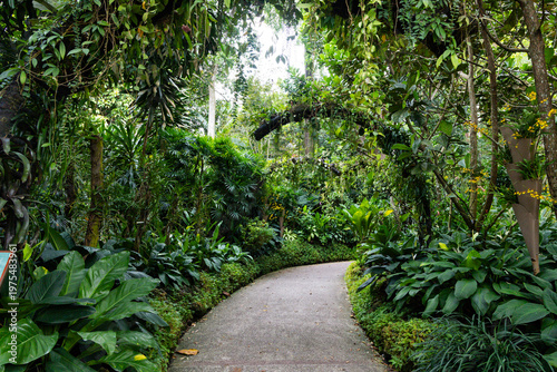 Views of the Singapore botanic gardens