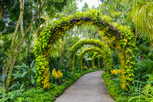 Views of the Singapore botanic gardens