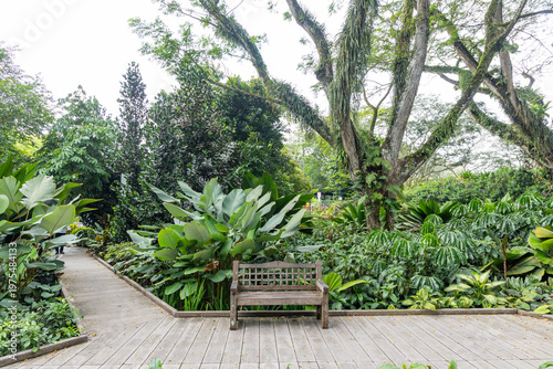 Views of the Singapore botanic gardens