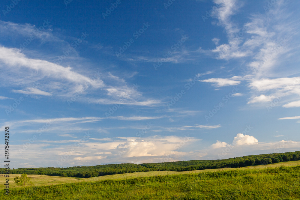 Obraz premium Summer landscape with green meadows and sky