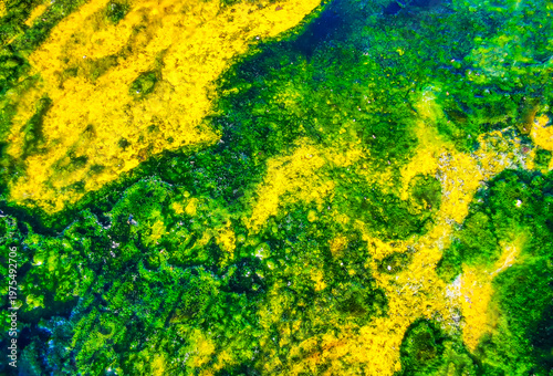 Tableau sur toile Toxic industrial waste slime texture in drain causing environmental pollution