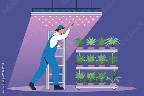 Led Lighting Adjustment