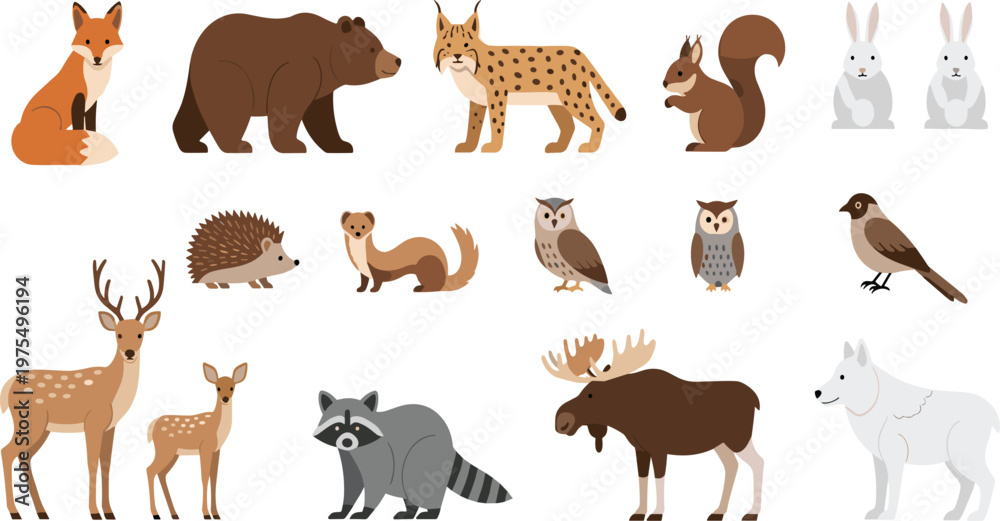 Fototapeta premium Forest Wild Animals Vector Illustration Set Featuring Fox, Bear, Lynx, Deer, Moose, Raccoon, Owl and Woodland Wildlife Character Collection Design.