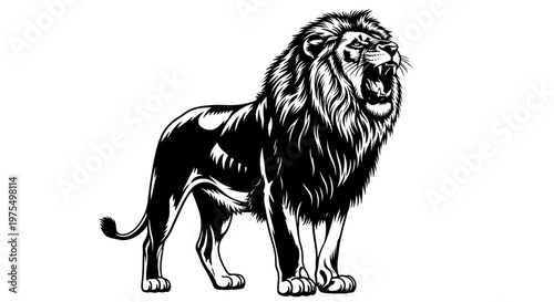 majestic lion standing on plain.