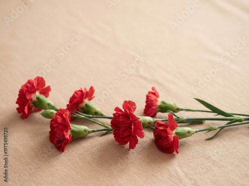Red Carnation