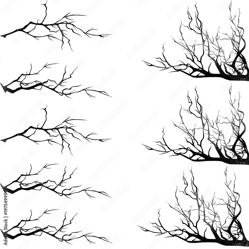 Obraz premium silhouette of tree branches in black on a white background. This set of visual elements includes two different styles:
