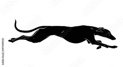 Black silhouette of a running dog.