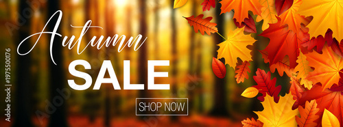 Quadro su tela Bright autumn sale banner with colorful falling leaves and forest background per