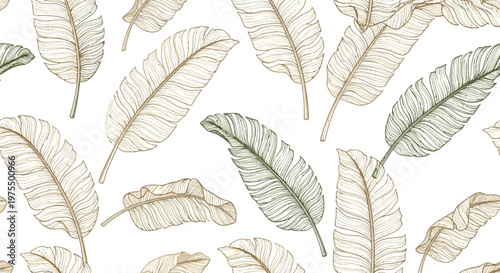 Collection of various feather shapes.