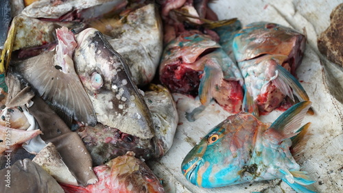 Cuadro en lienzo rotten fish heads at the fish market