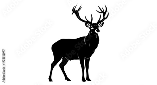 Large Stag Deer Antlers Animal.