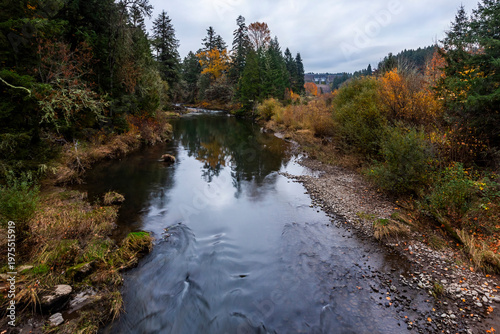 Forest water creek in autumn season
