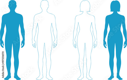 Minimalist Male and Female Body Proportion Silhouettes, Blue Human Anatomy Outline and Solid Figures, Modern Gender Representation and Fitness Model Graphics, vector, illustration, silhouette.