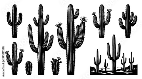 Vintage Saguaro Cactus Vector Illustration in Engraving Style Hand Drawn Desert Plants with Flowers and Landscape Silhouette for Retro Emblem Logo Print and Western Design Element