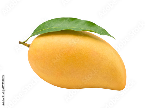 Fresh Ripe Yellow Mango with Green Leaf Isolated on Transparent Background