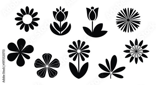 Black and white floral designs with stylized flower silhouettes vector illustration decorative botanical pattern design