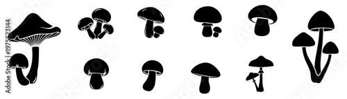 Vector set of mushrooms silhouettes.