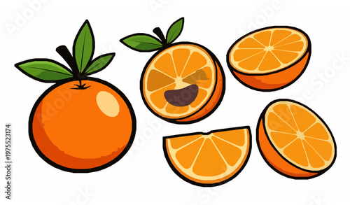 Hand drawn orange fruit collection with slices and halves isolated on white background