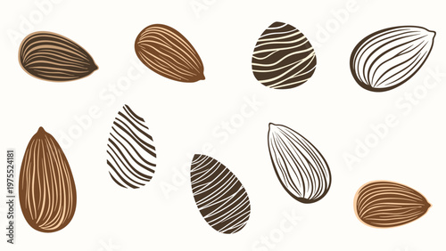 Set of ten various stylized almonds with intricate line patterns and textures in brown on a white background.