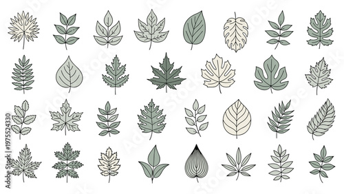 Diverse set of twenty eight leaf icons showing different shapes and botanical structures in soft green and gray colors.