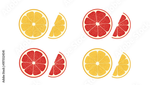 Detailed illustrations of sliced lemon and grapefruit showing cross sections and wedges in four variations on a white background.