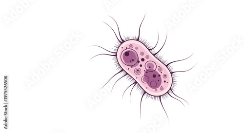 Detailed microscopic illustration of a single bacterium or protozoa with multiple flagella and internal cellular structures in pink.