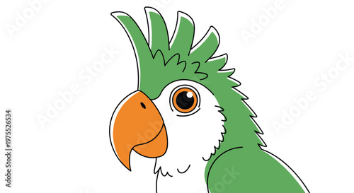 Close-up illustration of a green and white parrot with a prominent crest and orange beak looking curious on a white background.