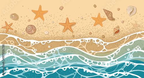 Overhead view of a sandy beach shore with waves crashing and various starfish and sea shells scattered along the coastline.