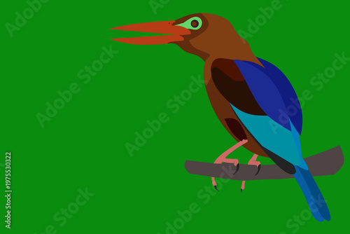 vector illustration of a bird of prey with a sharp and pointed beak