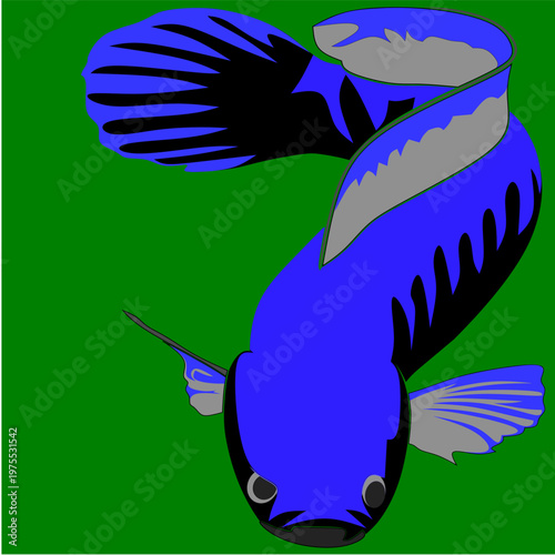 cartoon image of a blue freshwater fish