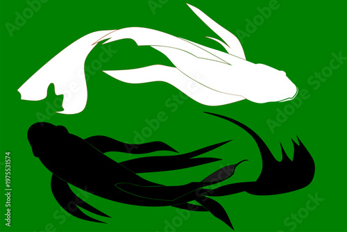 vector of a pair of black and white freshwater fish on a green background