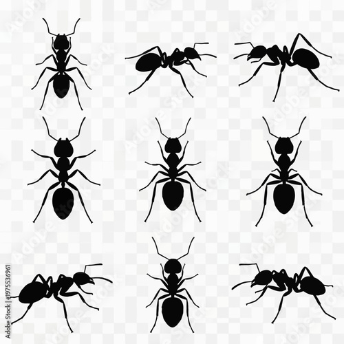 Collection of nine black ant silhouettes showing various angles including top-down and side profile views isolated on a transparent grid. Ideal for insect anatomy and pest control icons.