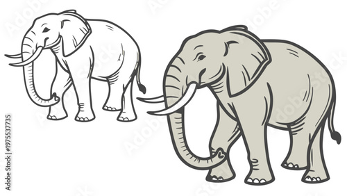 Vector portrait of an African elephant. Detailed drawing of the skin, tusks, and ears. Isolated on a white background. For logos, zoos, and nature reserves.