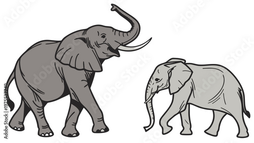 Vector portrait of an African elephant. Detailed drawing of the skin, tusks, and ears. Isolated on a white background. For logos, zoos, and nature reserves.