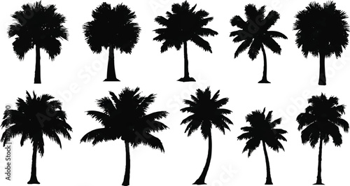 A professional collection of ten black palm tree silhouettes featuring various tropical species and frond shapes. 