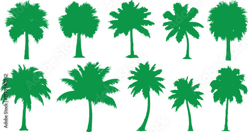 A professional collection of ten diverse palm tree silhouettes in a vibrant green color, featuring various tropical species with detailed fronds and trunks for summer or vacation designs.