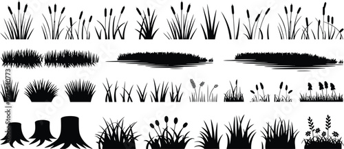 Black silhouettes of cattails grass and tree stumps