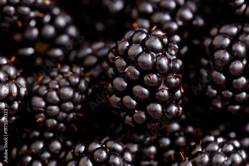 A bunch of blackberries are shown in the image