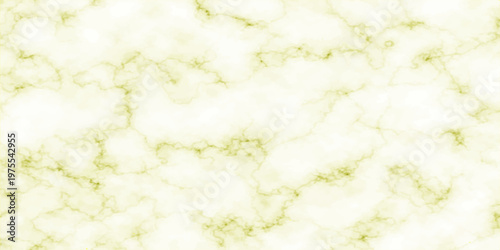 Fresh cottage cheese and boiled rice served in a white bowl on a green grass background creates a healthy vegetarian meal