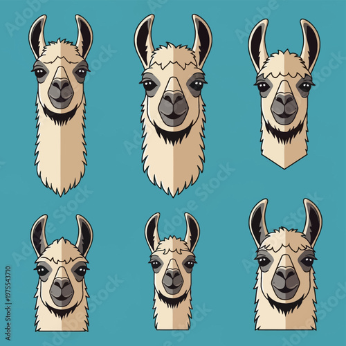 Set of six stylized llama head vector illustrations isolated on a teal blue background. Flat design alpaca animal icons with long necks, pointed ears, and neutral facial expressions.