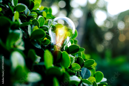 Renewable energy concept Earth Day or environment protection Hands protect forests that grow on the ground and help save the world.