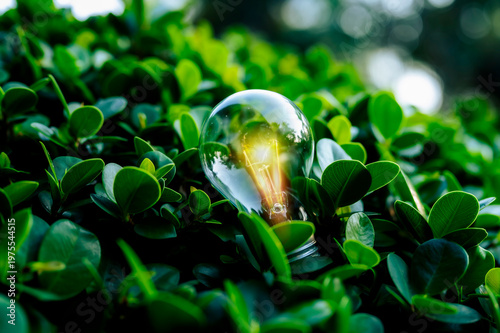 Renewable energy concept Earth Day or environment protection Hands protect forests that grow on the ground and help save the world.