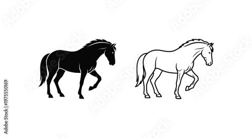 Black vs White Horse Breeds Comparison Guide Vector