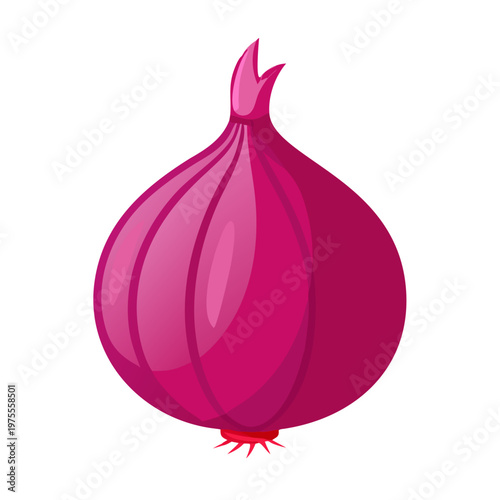 Fresh organic ripe red onion bulb and sliced purple half isolated on white background as a healthy raw food vegetable ingredient