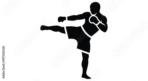 Black silhouette of a martial artist executing a dynamic side kick pose