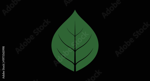 Minimalist Green Leaf Design on Black Backdrop Representing Nature and Organic Concepts