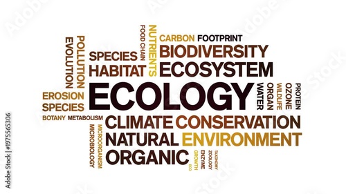 Ecology animated word cloud-text design animation tag kinetic typography seamless loop.