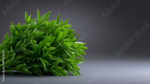 Fresh herbs bundle photorealistic minimalist studio setup white background
